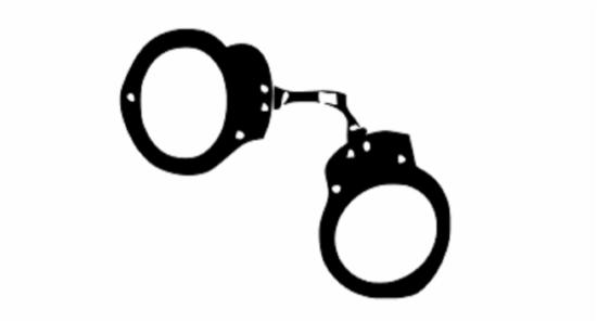 400 கிலோகிராம் கோதுமை மாவை திருடியவர் கைது